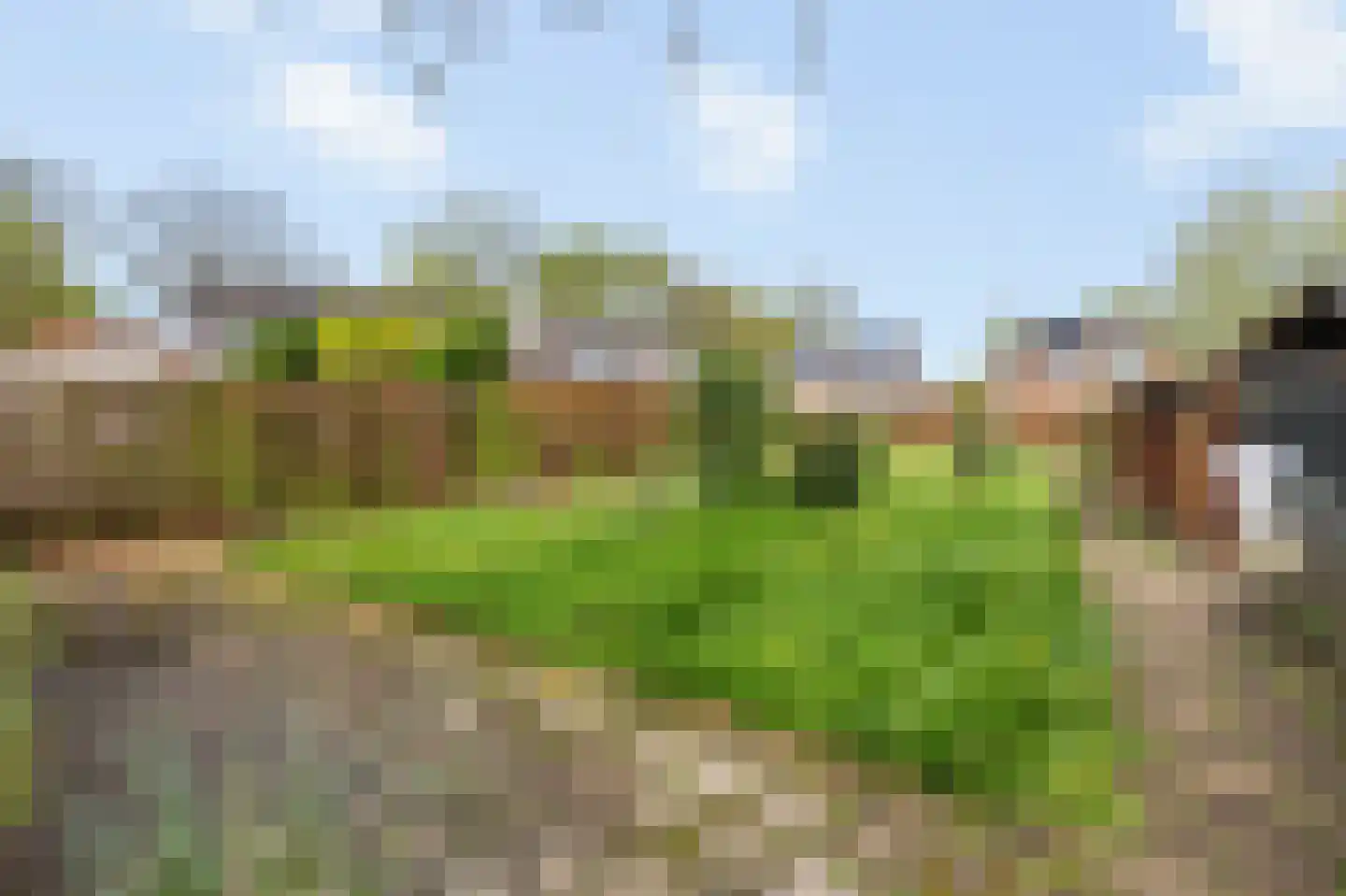 Slekkerstraat 42 Echt thumbnail 62