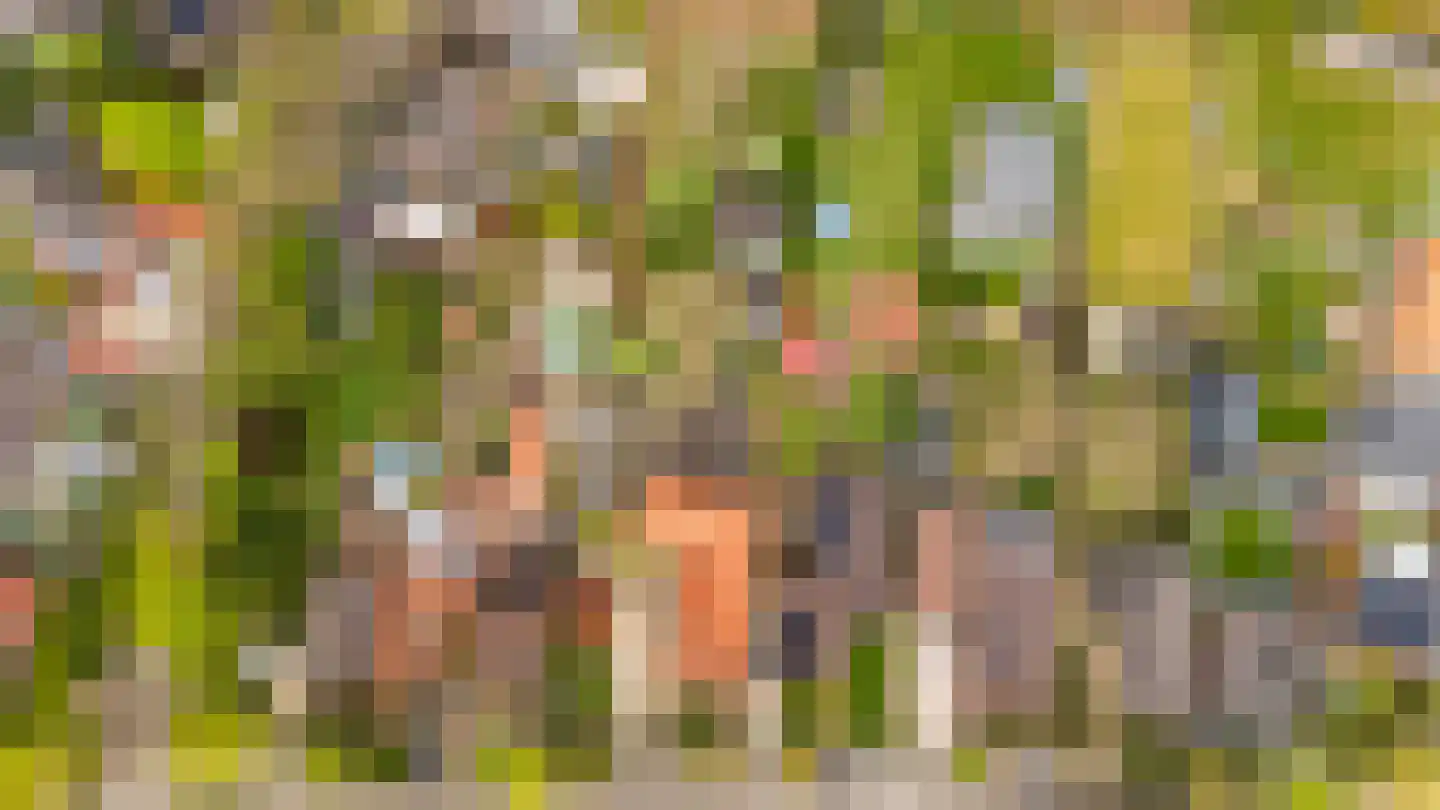 Slekkerstraat 42 Echt thumbnail 65