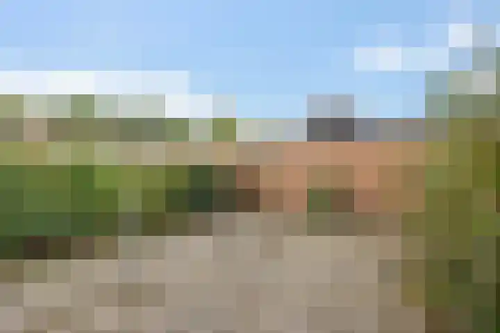 Slenerbrink 128 Emmen thumbnail 17