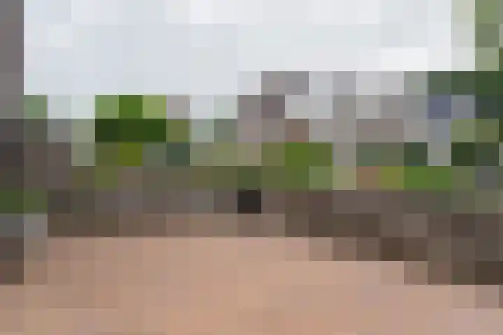 Slenerbrink 157 Emmen thumbnail 7