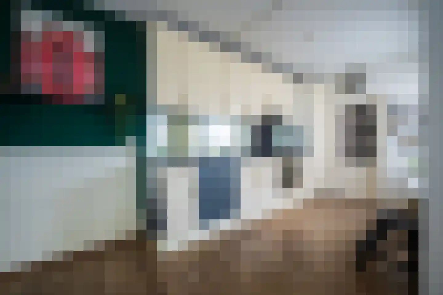 Slenerbrink 208 Emmen thumbnail 17