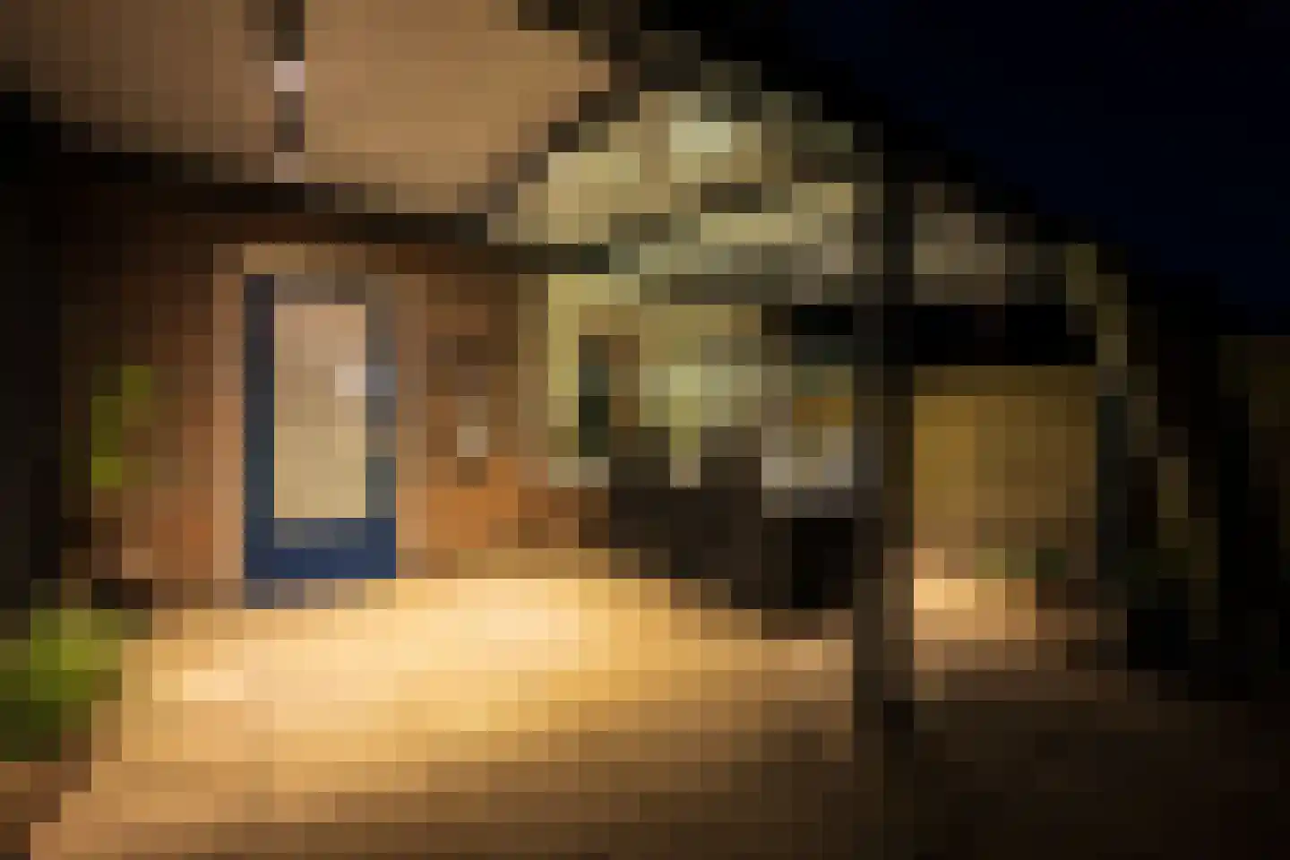 Slenerbrink 208 Emmen thumbnail 4