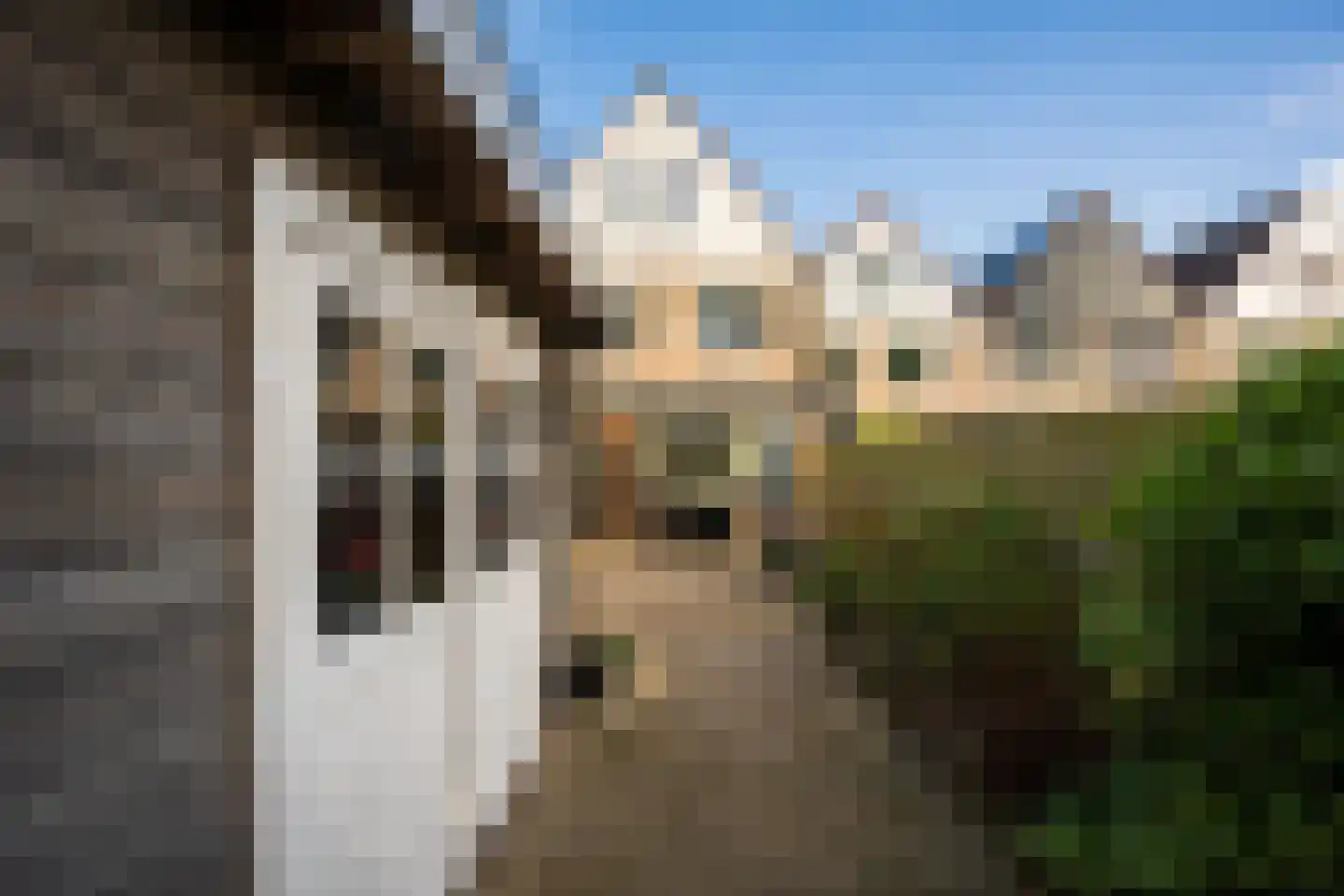 Slenerbrink 208 Emmen thumbnail 7