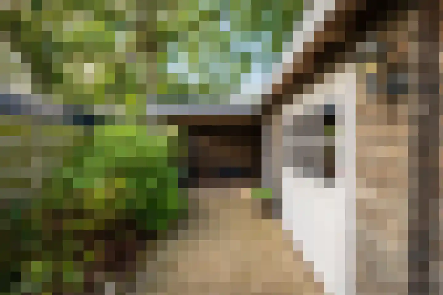 Slenerbrink 208 Emmen thumbnail 8