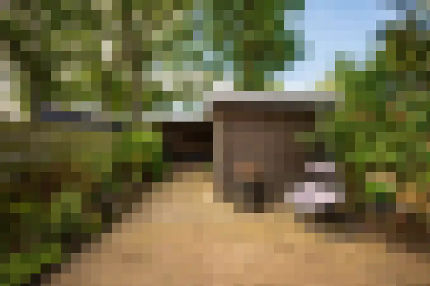 Slenerbrink 208 Emmen thumbnail 9
