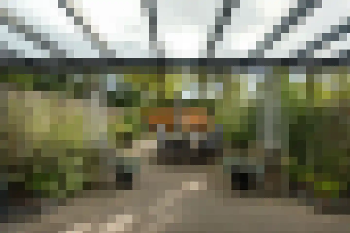 Slenerbrink 212 Emmen thumbnail 34
