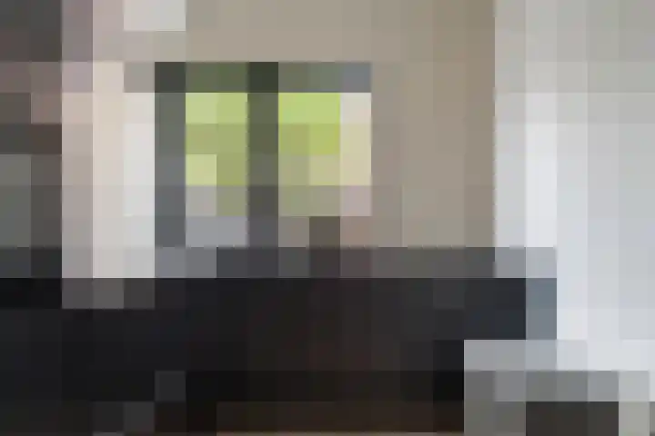 Slenerbrink 47 Emmen thumbnail 17