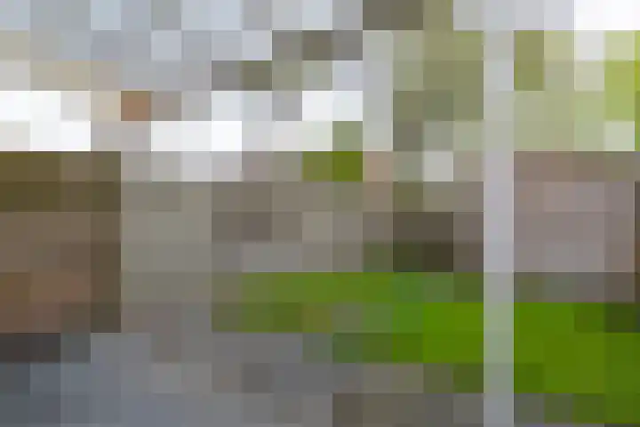 Slenerbrink 47 Emmen thumbnail 30