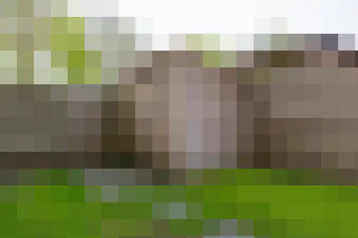 Slenerbrink 47 Emmen thumbnail 31