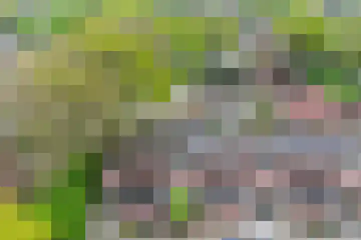 Slenerbrink 47 Emmen thumbnail 4