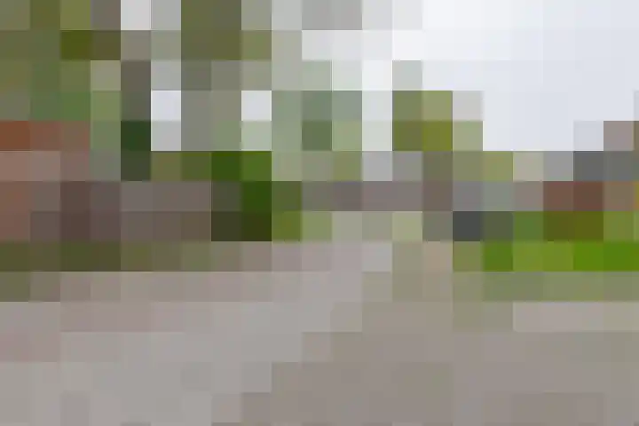 Slenerbrink 47 Emmen thumbnail 5