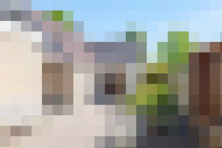 Slenerweg 26 Schoonoord thumbnail 26