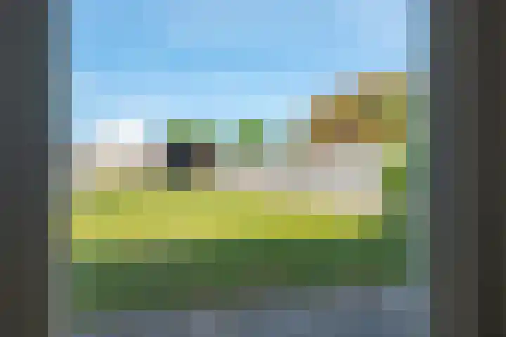 Slenerweg 26 Schoonoord thumbnail 38