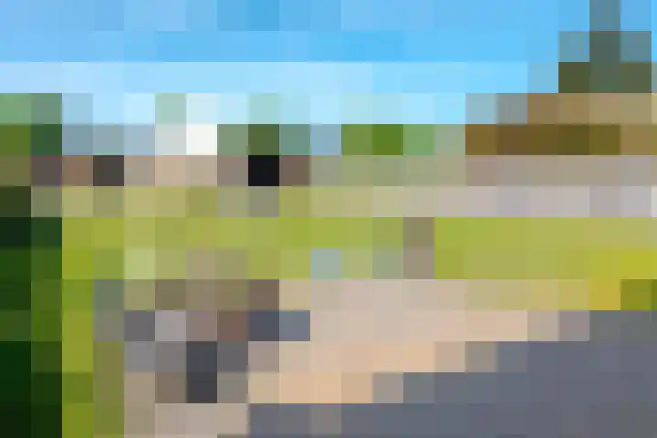 Slenerweg 26 Schoonoord thumbnail 4