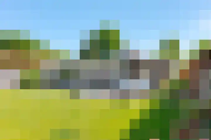 Slenerweg 26 Schoonoord thumbnail 47