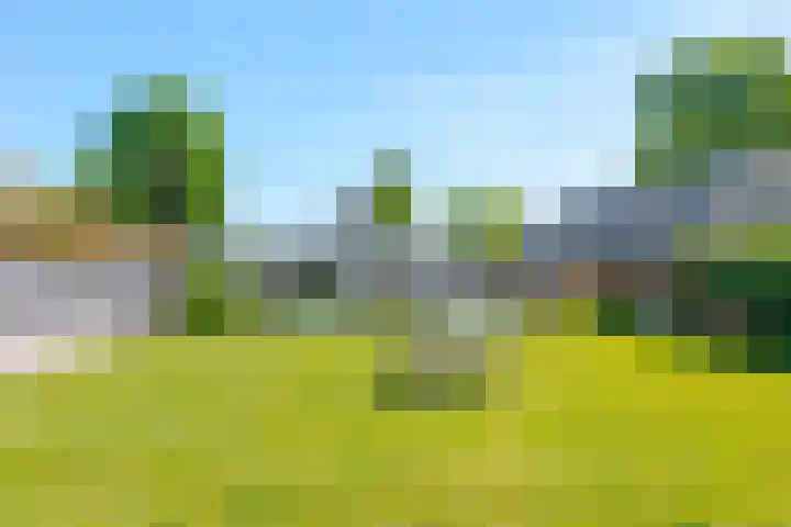 Slenerweg 26 Schoonoord thumbnail 48