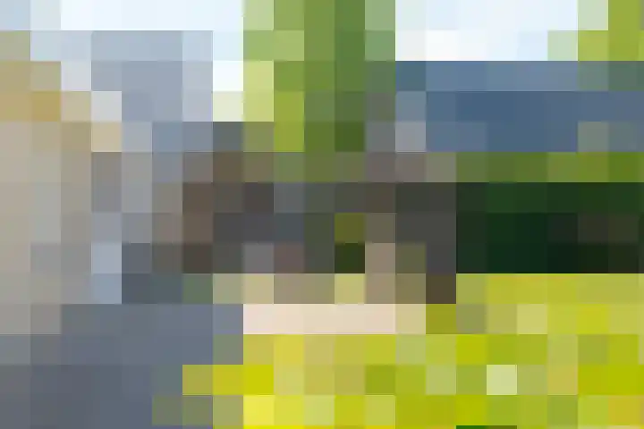 Slenerweg 26 Schoonoord thumbnail 50