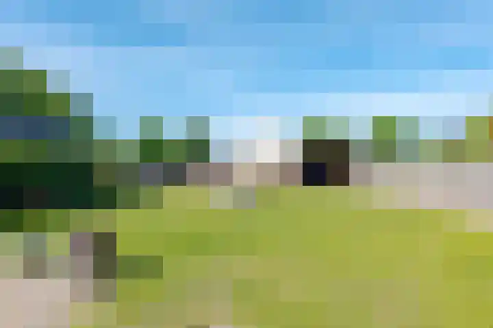 Slenerweg 26 Schoonoord thumbnail 52