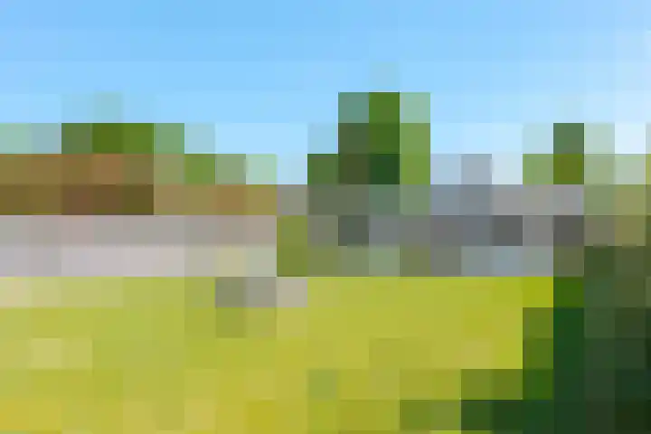 Slenerweg 26 Schoonoord thumbnail 59