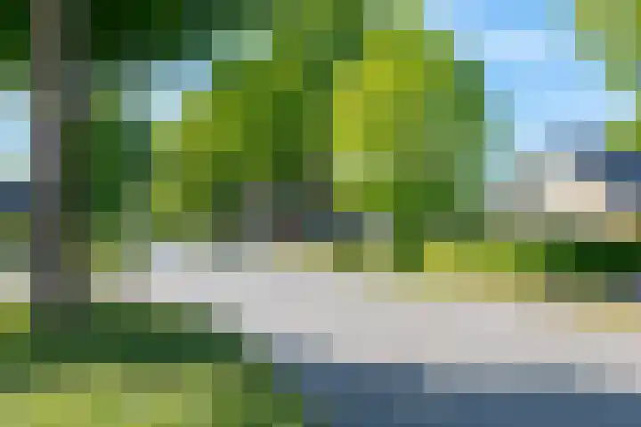 Slenerweg 26 Schoonoord thumbnail 61