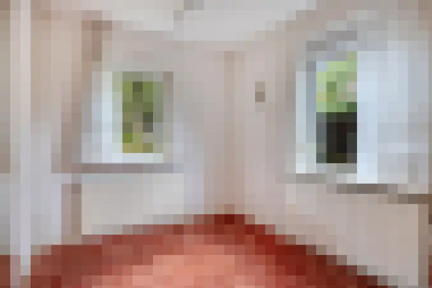 Slenerweg 43 Schoonoord thumbnail 12