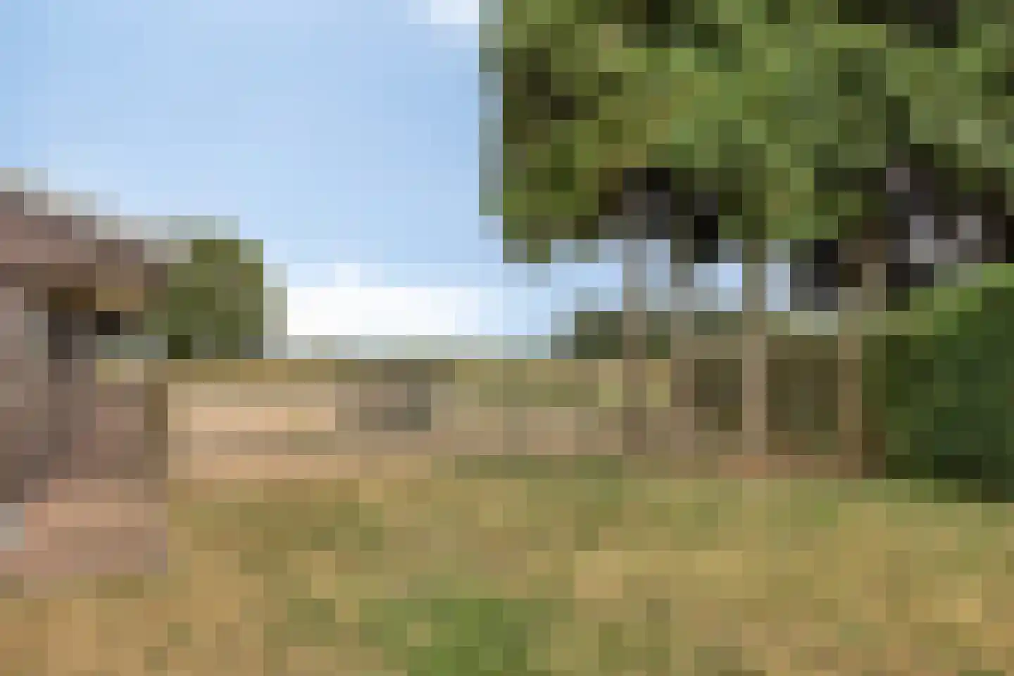 Slenerweg 43 Schoonoord thumbnail 29