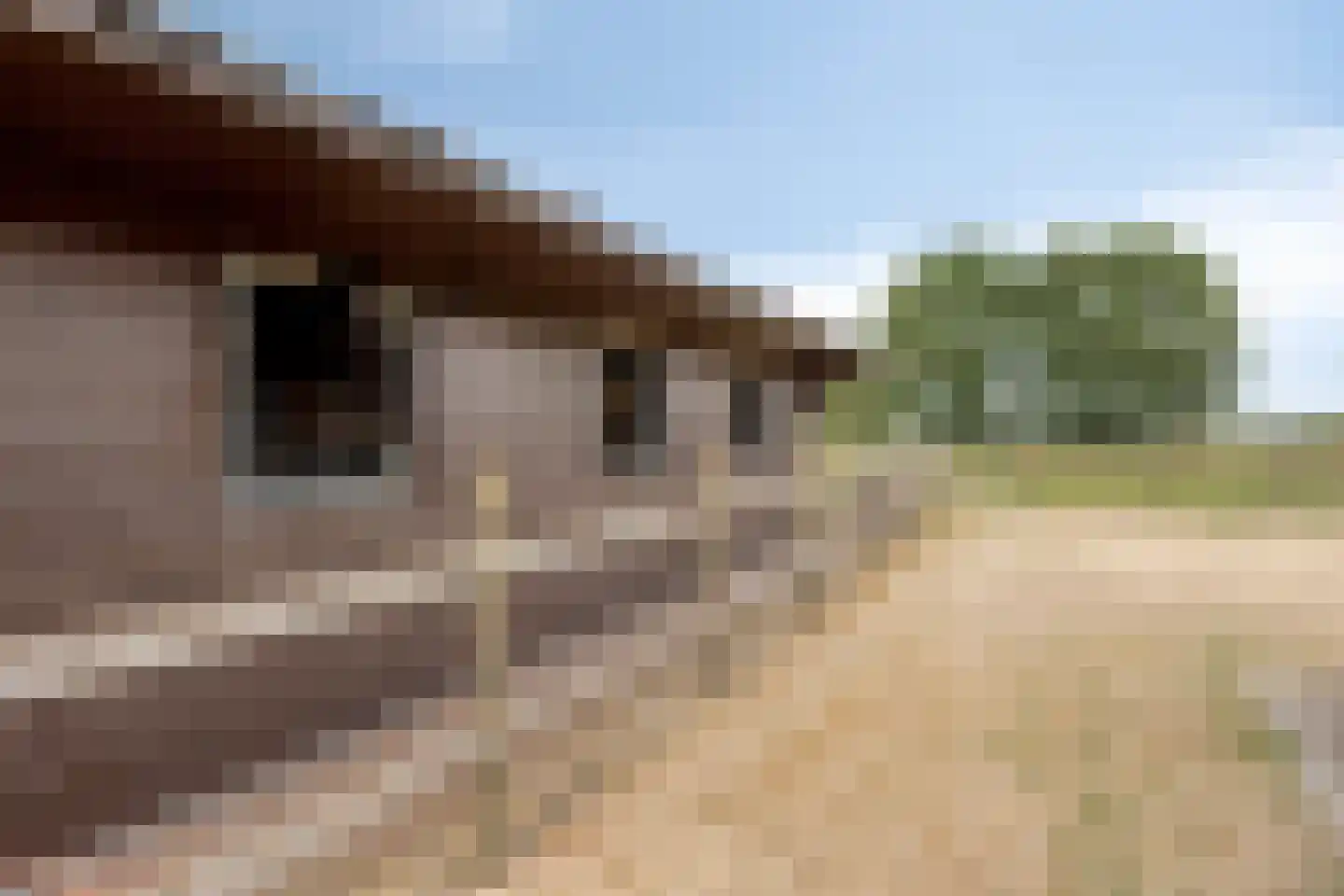 Slenerweg 43 Schoonoord thumbnail 31