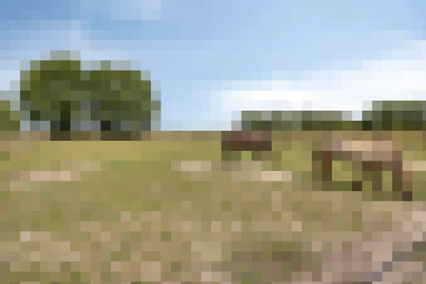 Slenerweg 43 Schoonoord thumbnail 33