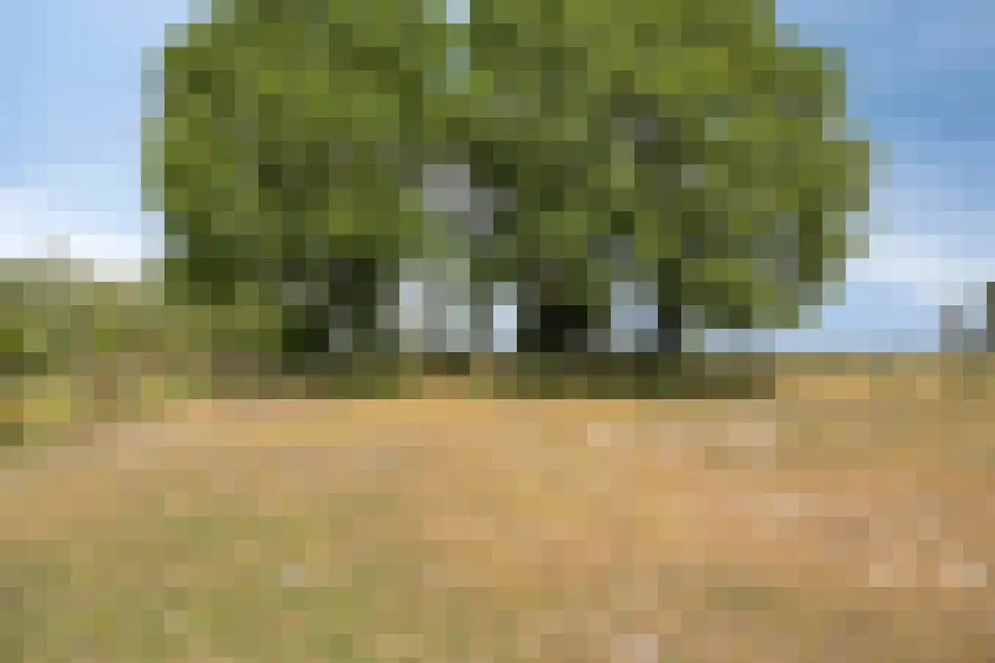 Slenerweg 43 Schoonoord thumbnail 35