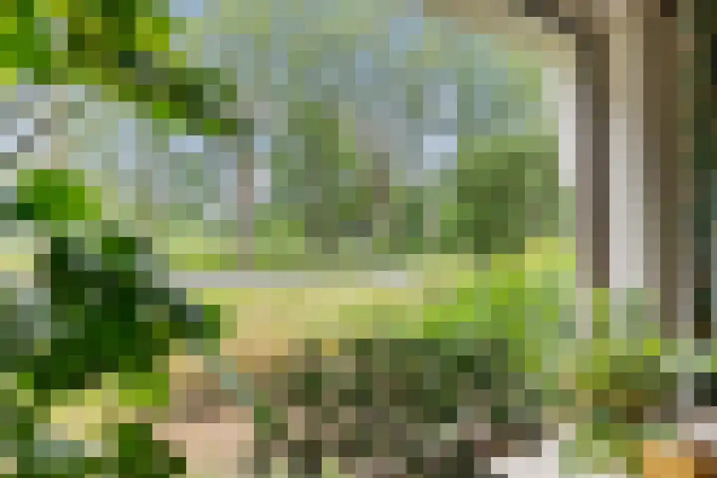 Slenerweg 81 Schoonoord thumbnail 10