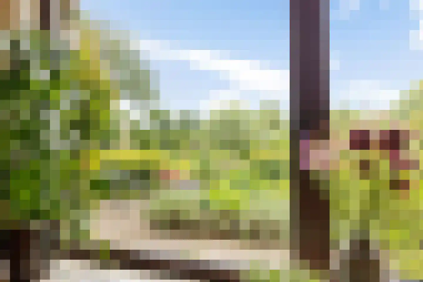 Slenerweg 81 Schoonoord thumbnail 13