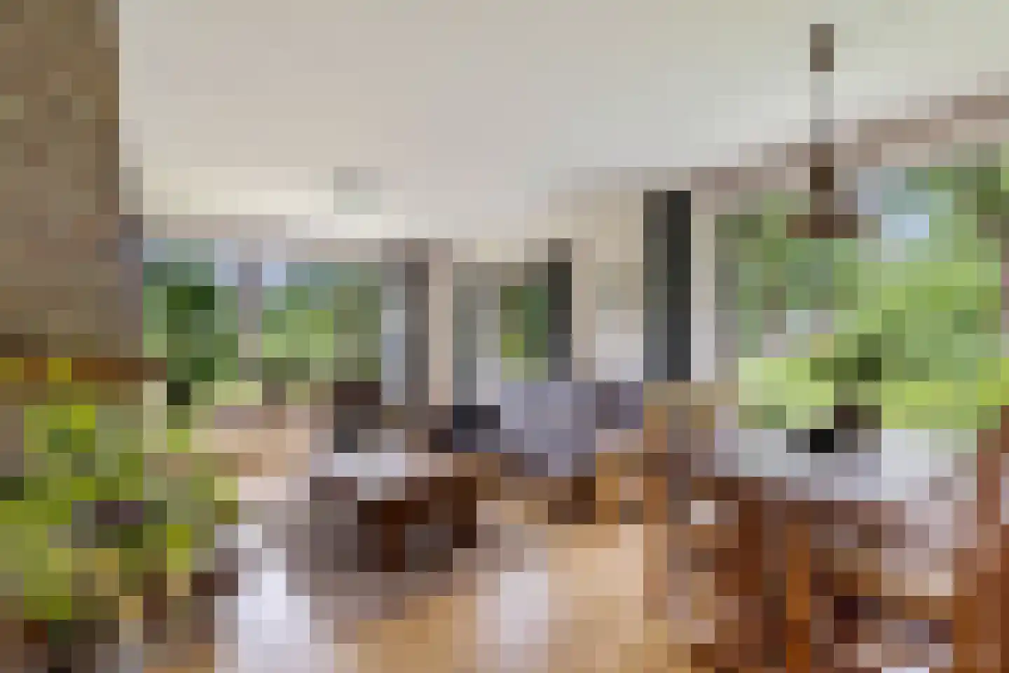 Slenerweg 81 Schoonoord foto 2