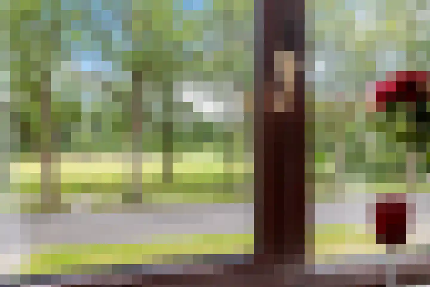 Slenerweg 81 Schoonoord thumbnail 30