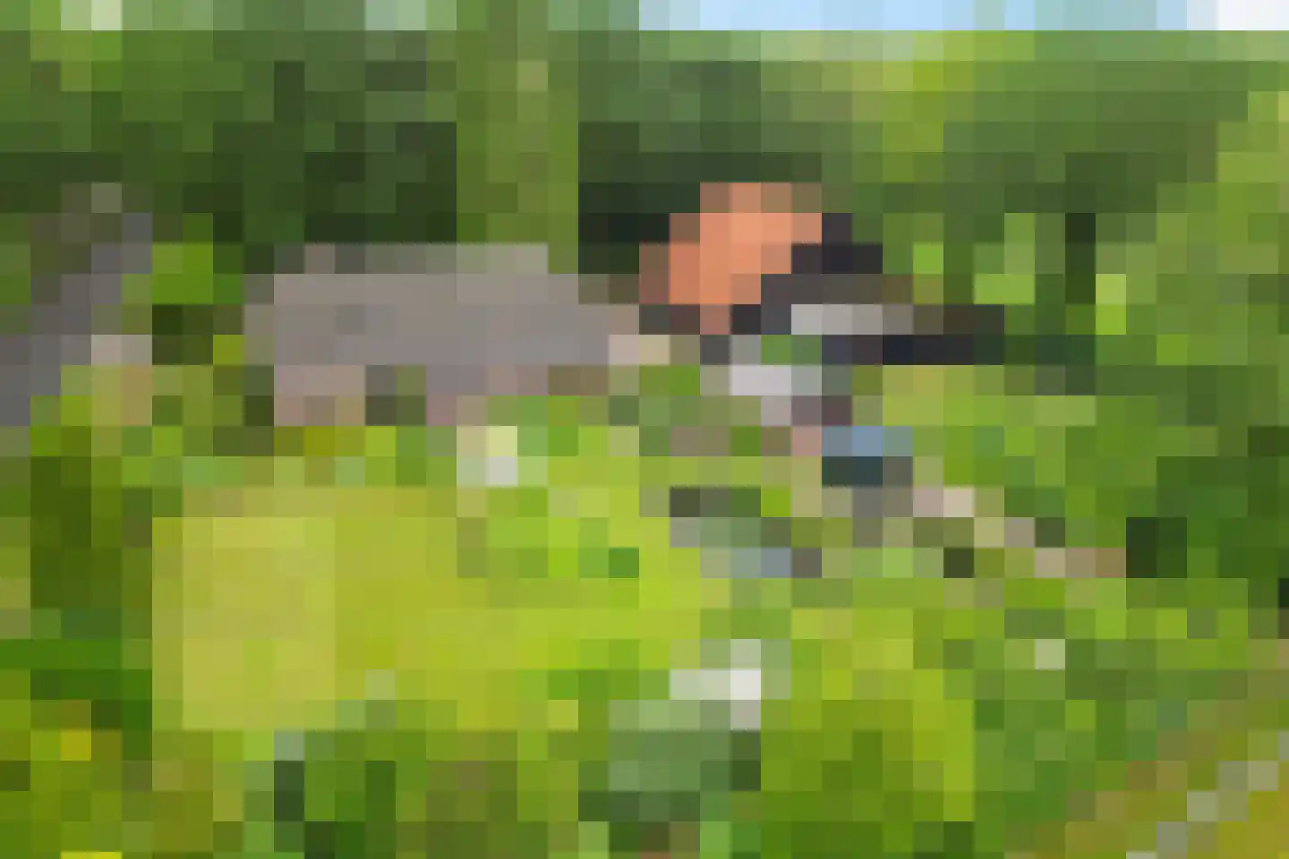 Slenerweg 81 Schoonoord thumbnail 37