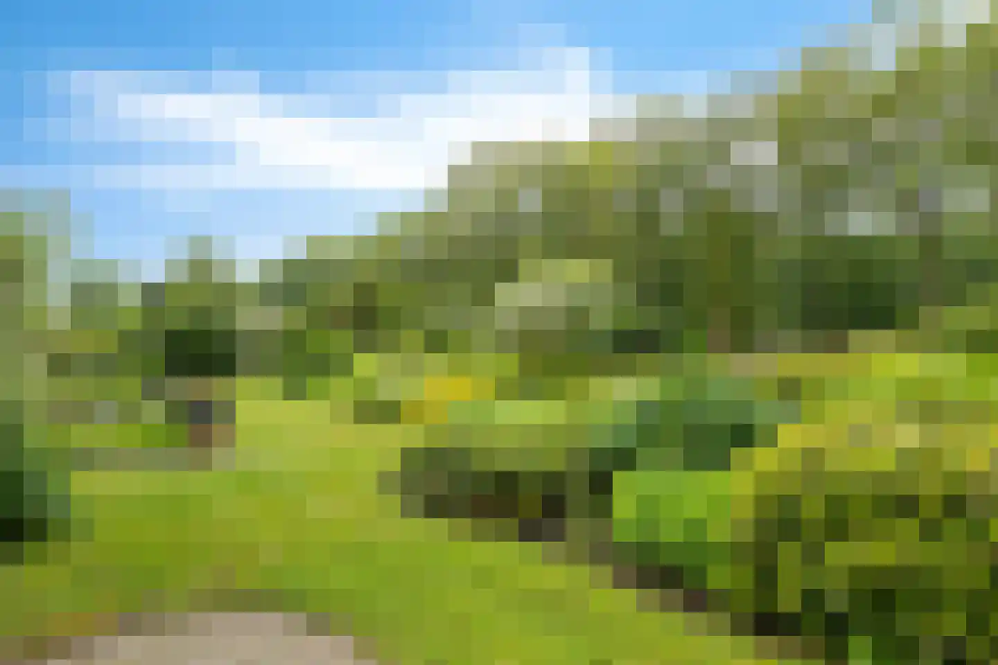 Slenerweg 81 Schoonoord thumbnail 39