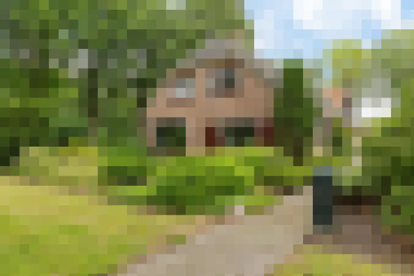 Slenerweg 81 Schoonoord thumbnail 4