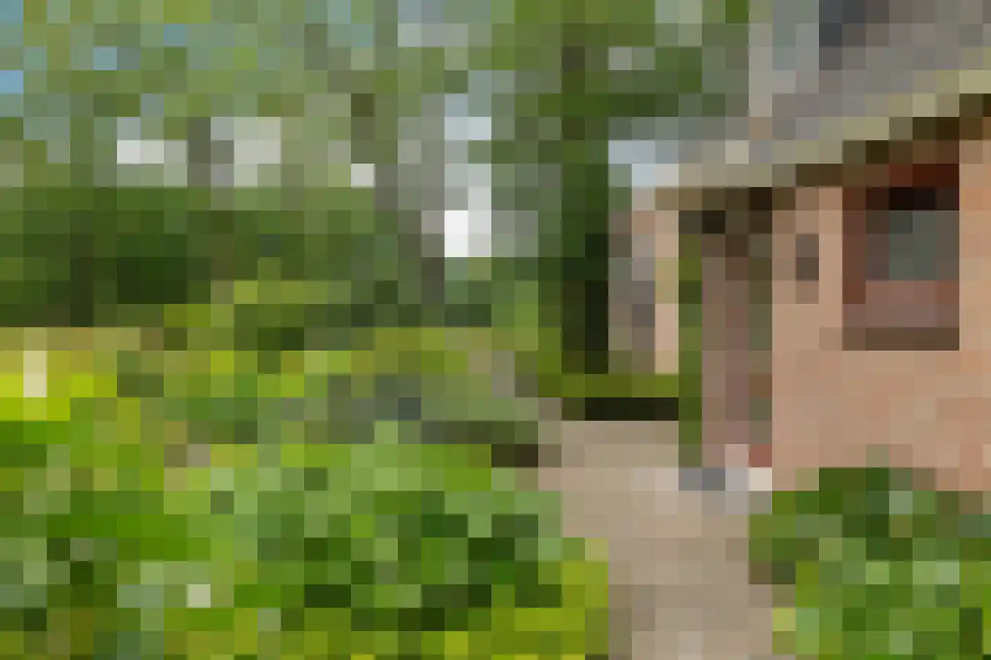 Slenerweg 81 Schoonoord thumbnail 40