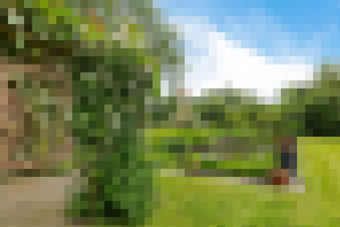 Slenerweg 81 Schoonoord thumbnail 41