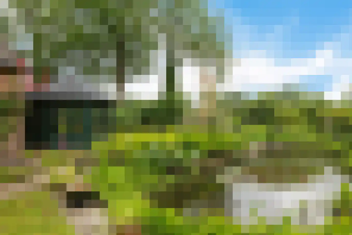 Slenerweg 81 Schoonoord thumbnail 42