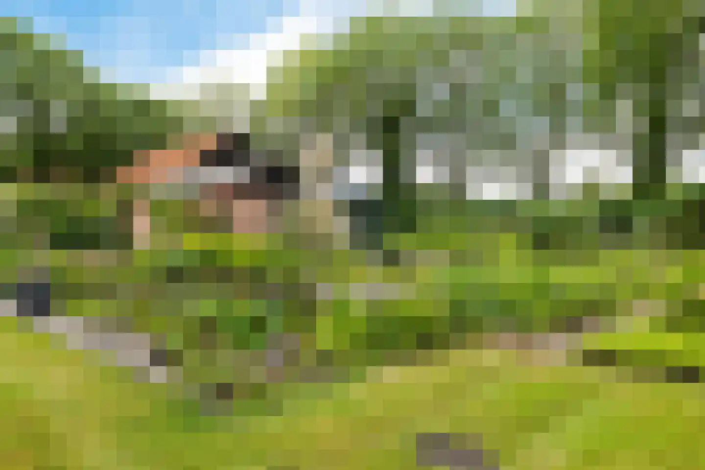 Slenerweg 81 Schoonoord thumbnail 44