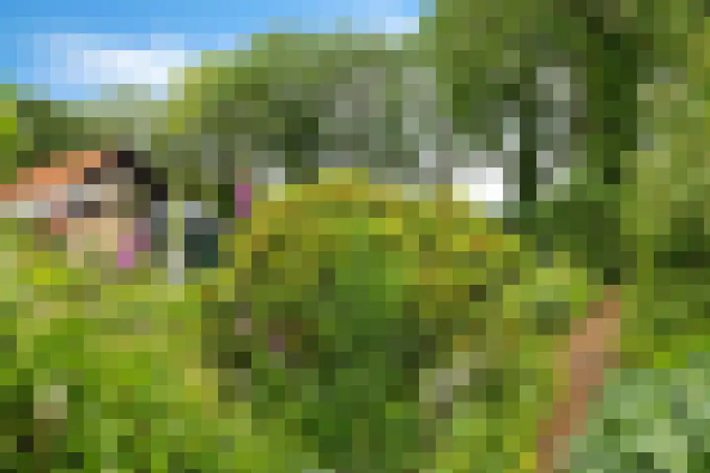 Slenerweg 81 Schoonoord thumbnail 46