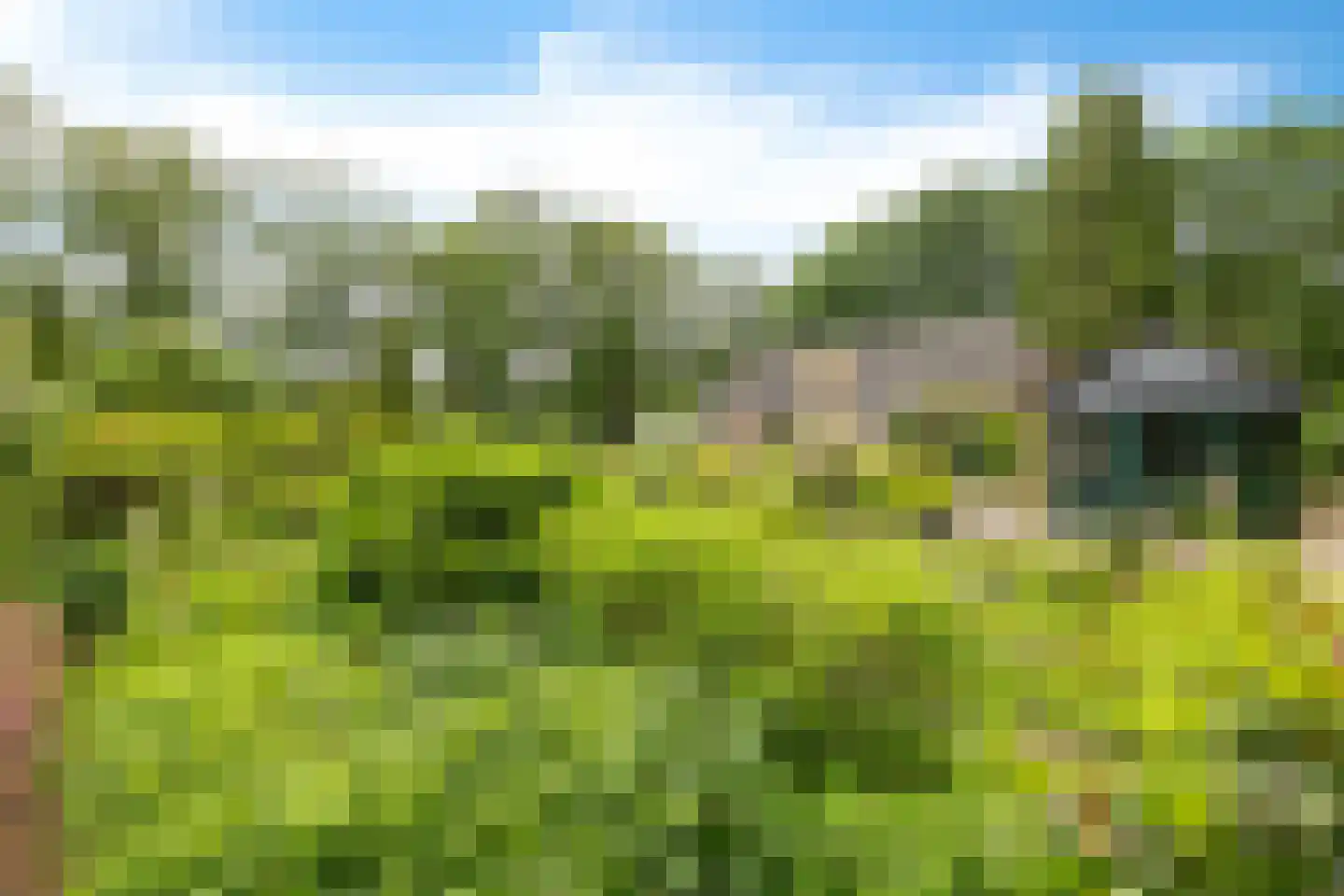 Slenerweg 81 Schoonoord thumbnail 47