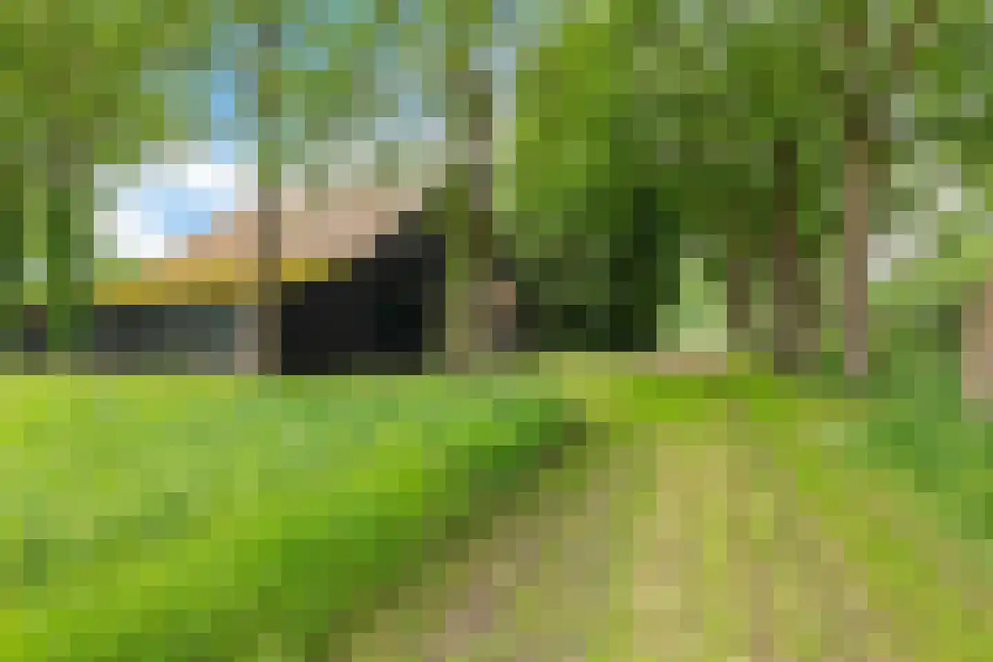 Slenerweg 81 Schoonoord thumbnail 54