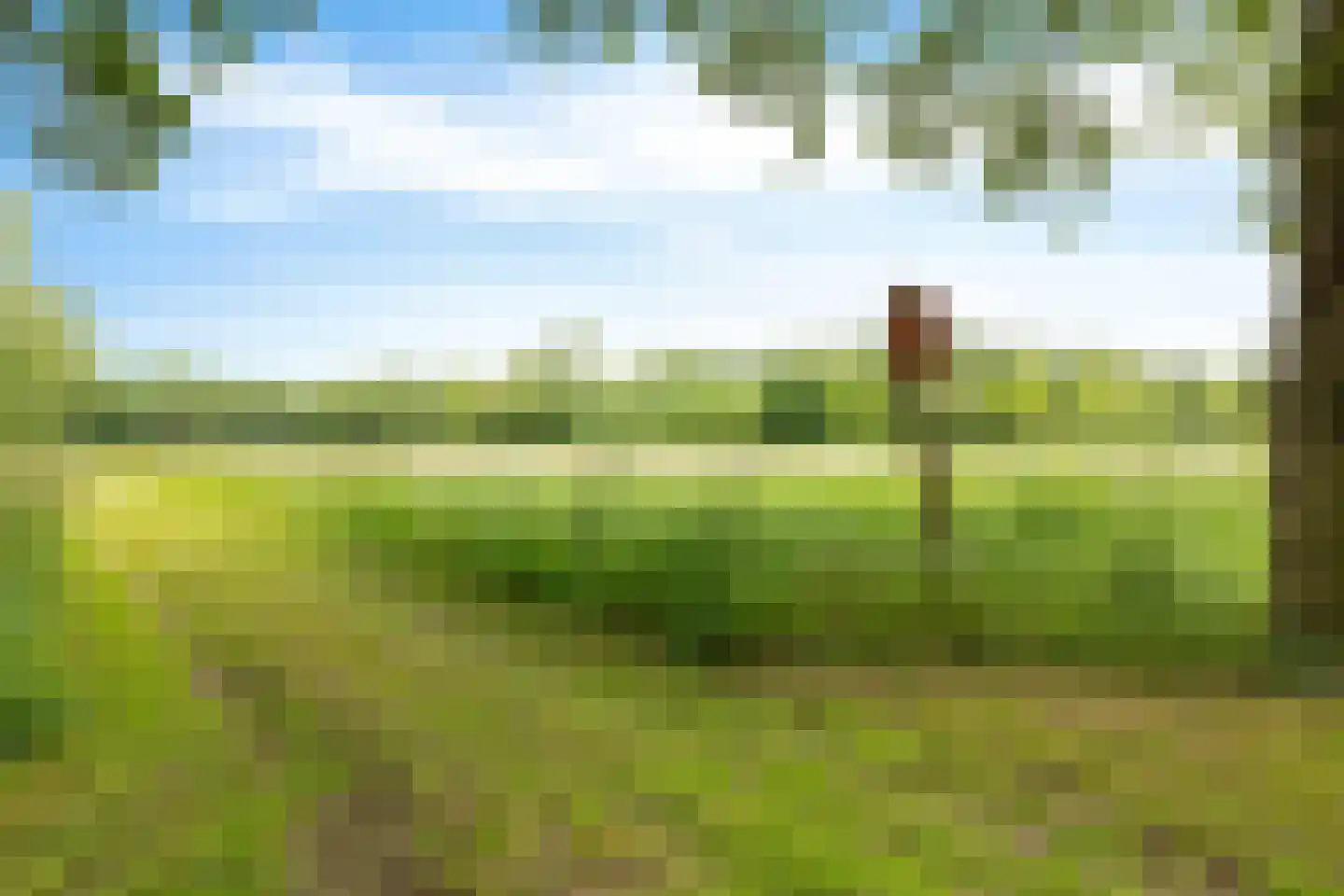 Slenerweg 81 Schoonoord thumbnail 55