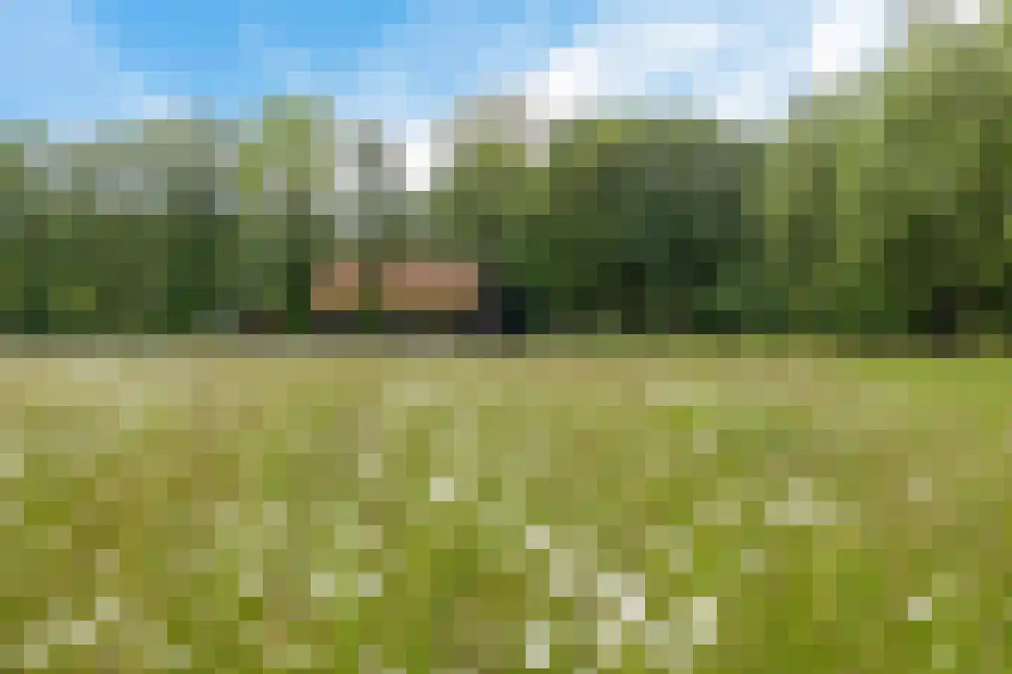 Slenerweg 81 Schoonoord thumbnail 56