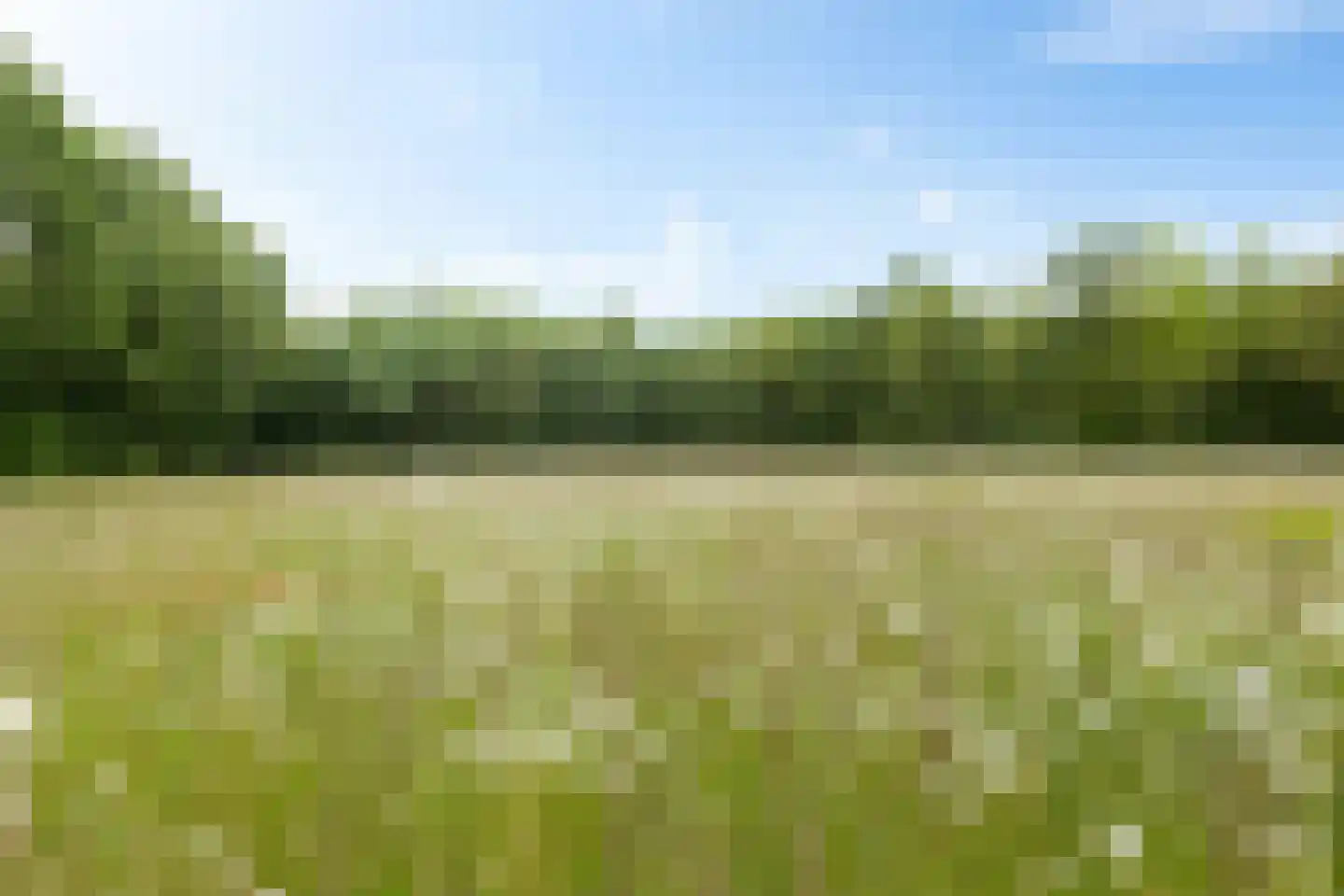 Slenerweg 81 Schoonoord thumbnail 57
