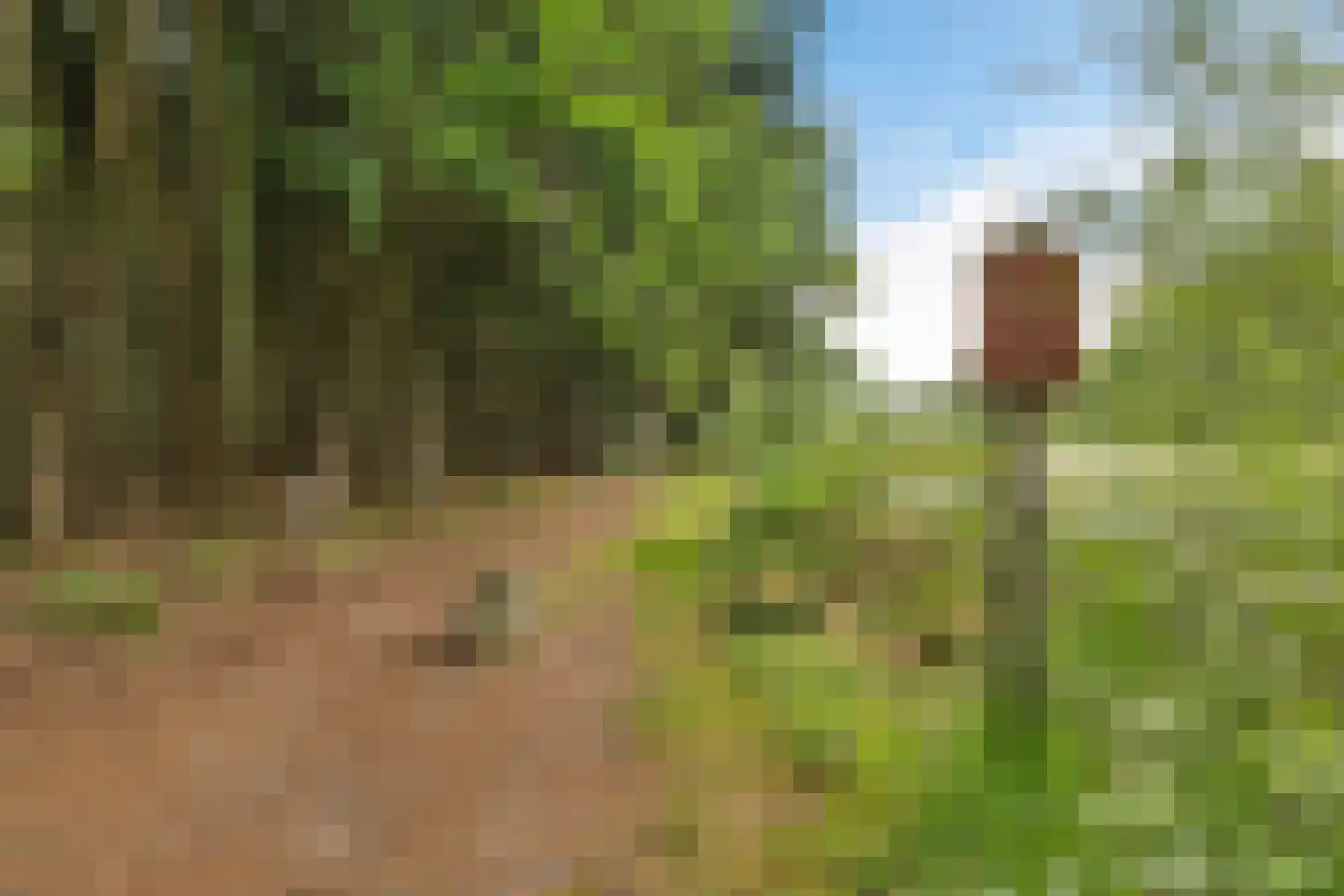 Slenerweg 81 Schoonoord thumbnail 58