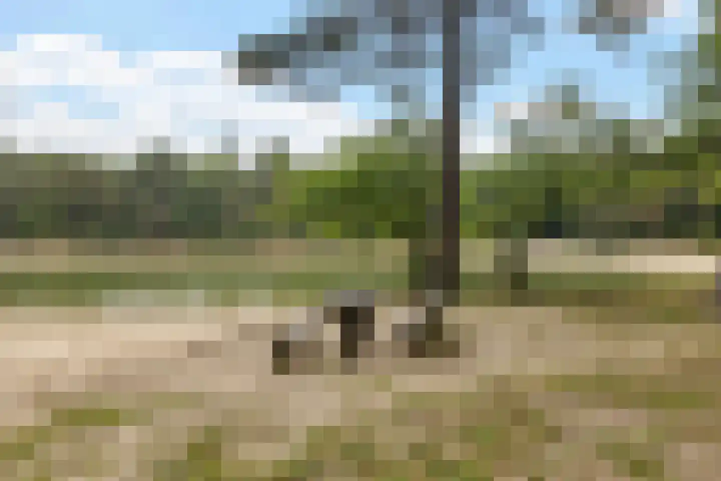 Slenerweg 81 Schoonoord thumbnail 62