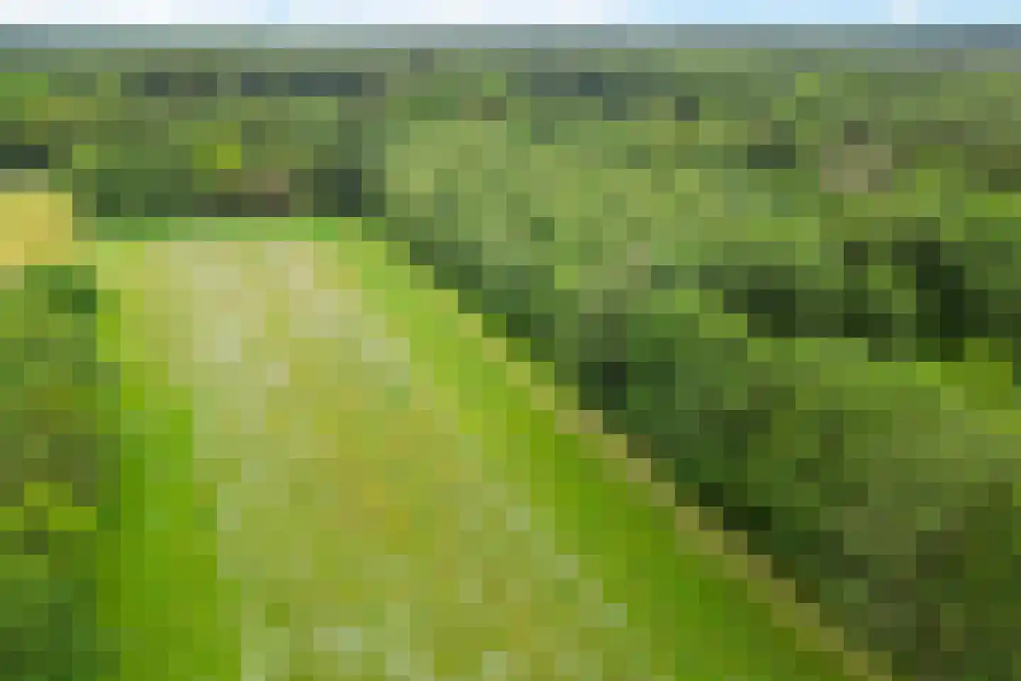 Slenerweg 81 Schoonoord thumbnail 63