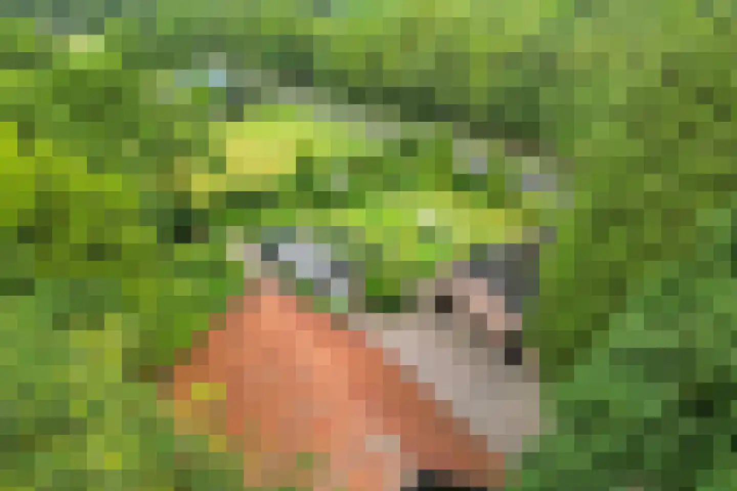 Slenerweg 81 Schoonoord thumbnail 64